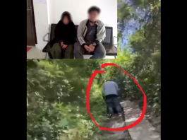 Astaga! Siang Bolong Bulan Puasa, Pasangan Muda-mudi Diduga Oral Seks di Jalur Pendakian