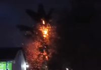 Pohon Terbakar Disambar Petir di Sungai Karangan Landasan Ulin