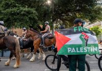 Puluhan Mahasiswa Pro-Palestina Diamankan di Texas, AS Disalahkan Atas Rencana Serangan Israel di Rafah