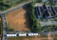 Peringati Hari Kartini, Paman Birin dan Acil Odah Akan Tanam Ribuan Bibit Pohon