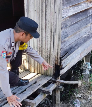 Heboh Aksi Pembakaran Rumah di Komplek Puntun Palangka Raya, Ini Penjelasan Polisi