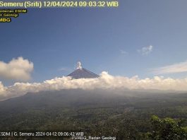 Gunung Semeru Kembali Erupsi dengan Letusan Setinggi 700 Meter