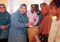 Ketua TP PKK Kalsel Berbagi Paket Sembako dengan Warga Tanah Laut