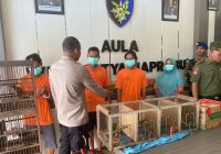 Jual Beli Burung Cucak Ijo, 4 Pelaku Diamankan Sat Polairud Polresta Banjarmasin
