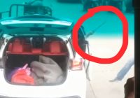 Viral Video Pedagang Pakaian Ditikam Samurai
