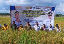 Kelompok Tani Pejambuan Raya Adakan Syukuran Panen Padi