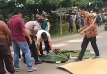 Pengendara Terkapar Meninggal Dunia di Desa Tajau Pecah Tala