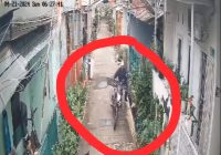 Maling Plat Besi Terekam Kamera CCTV