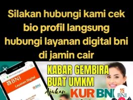 Waspada Pinjaman Online Bank BNI via Tiktok