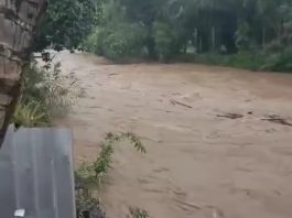 Debit Air Sungai Loksado Kabupaten HSS Naik, Warga Diminta Waspada
