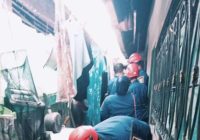 DPKP Kabupaten Banjar Tangkap Biawak Yang Meresahkan Warga