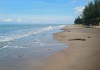 Cerita Hafsah Soal Asal Mula Nama Pantai Batu Buaya di Satui Tanah Bumbu