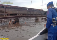 Geger Buaya Muncul di Pelambuan, Satpolairud Banjarmasin Ingatkan Warga Mandi di Sungai
