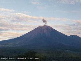 Gunung Semeru Kembali Erupsi, Tinggi Kolom Capai 500 Meter