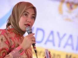 DPR Imbau UMKM Daftar Nomor Ijin Edar Untuk Perkuat Legalitas