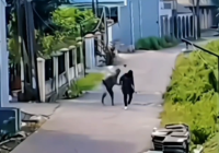 Ngeri, ODGJ Timpuk Kepala Perempuan dengan Batu Sebesar Kepalan dari Jarak Dekat