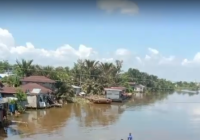 BREAKING NEWS: Korban Tenggelam di Alalak Utara Ditemukan Meninggal Dunia