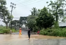 BPBD Catat 72 Kejadian Bencana di Sukabumi Sepanjang April