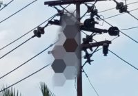 Pria Ditemukan Tergantung di Tiang Listrik di Tinggiran 2 Luar