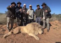 Seru! Video Berburu Pengusaha Banua Haji Isam Bersama Putranya ditemani Raffi Ahmad di Afrika Selatan