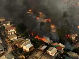 Pagar Makan Tanaman, Polisi Chili Tangkap Damkar Pembakar Hutan