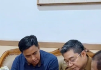Pohon di Kota Banjarmasin Diasuransikan, Tertimpa Pohon Roboh Bakal Dapat Ganti Rugi