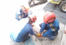 Ke Kamar Mandi untuk Cuci Kaki, Novita Kaget Ada Biawak, Petugas DPKP Banjar Segera Beraksi