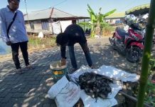 Desa Pematang Baru Lakukan Gerdal Hama Tikus di Musim Tanam