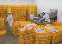 Dinas Peternakan Banjar Gelar Pra Audit NKV di RPH PT CPI Karang Intan