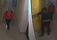 Istri Pembunuh Wanita Dalam Koper Kaget Karena Motif Pelaku Untuk Kebutuhan ini