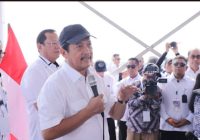 Kementerian KKP Buka Peluang Budidaya Ikan Nila Di Bekas Tambak Udang Orde Baru