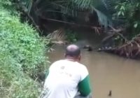 Orang Diduga Tenggelam di Simpur Kabupaten HSS