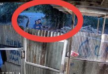 Maling Ayam di Tol Jingah Habang Martapura Terekam CCTV