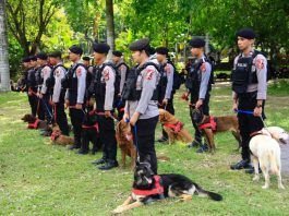 Polri Kerahkan Detasemen K-9 Untuk Amankan WWF Ke-10 di Bali