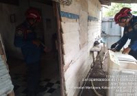 DPKP Banjar Evakuasi 3 Ular Kobra di 3 Lokasi Berbeda