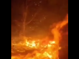 Hizbullah Mulai Menyerang, Tembakkan Ratusan Roket ke Pangkalan Militer Israel