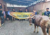 PWI Kalsel Potong 3 Sapi Kurban, Dibagikan untuk Insan Pers dan Masyarakat Sekitar