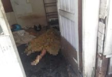 BREAKING NEWS Warga Jalan Manggis Ditemukan Meninggal Dunia