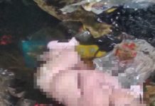 Temuan Bayi di Komplek Mutiara Jalan Soetoyo S Berjenis Kelamin Laki-Laki