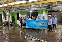 Kanwil Kemenag Kalsel Sembelih 5 Hewan Kurban di Rumah Potong Hewan