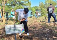 PLN dan Dishut Kalsel Tanam 1.883 Bibit Pohon di Bukit Batu