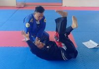 Perbedaan Jujutsu dan Karate