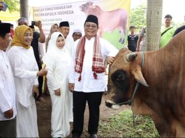 Presiden Jokowi Serahkan Satu Ekor Sapi Kurban di Masjid Al Karomah