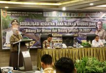Dinas PUPR Kalsel Gelar Sosialisasi Penyusunan DAK Tahun 2025