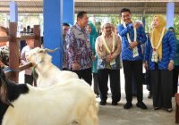 Bupati Banjar Resmikan Pasar Hewan Karang Intan, Pengumuman Daftar Juara Kontes Sapi dan Kambing Ekstrem