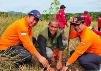 Lestarikan Alam, BPBD Banjar dan Sejumlah Pihak Tanam 250 Bibit Ketapang Kencana di Bukit Batu