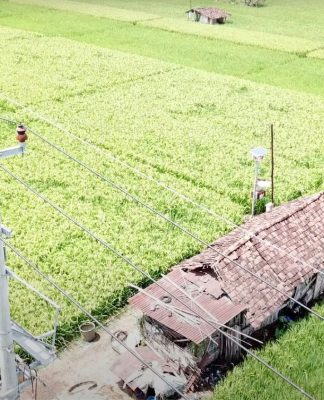 Sukses Menambah Pelanggan, Kunci Membaiknya Kinerja PLN 2023, Terbanyak dari Golongan Rumah Tangga