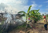 75 Ekor Bebek Terbakar dalam Kebakaran di Desa Cindai Alus, Pemilik Rugi Puluhan Juta