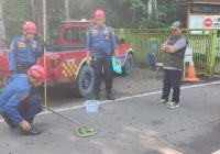 Petugas DPKP Banjar Amankan 4 Ekor Ular Beda Jenis di 4 Lokasi Berbeda dalam Sehari