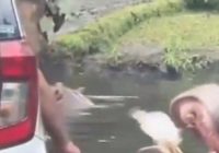Pengunjung Beri Makan Kuda Nil Sampah Plastik, Taman Safari Ingatkan Sanksi Hukumnya